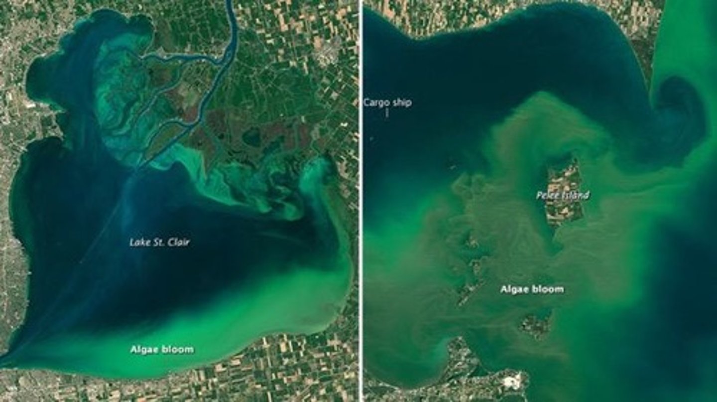<p>It captures images of environmental phenomena such as algal blooms in large water bodies.</p>