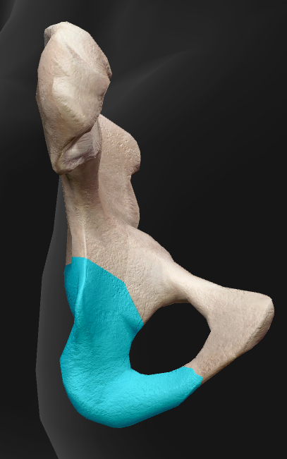 term image