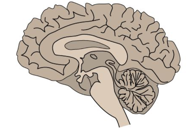 <p>what type of section is this?</p>