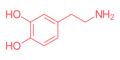 <p>Dopamine</p>
