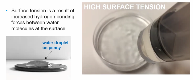 <p>Is the property of a liquid’s surface that allows it to resist external forces due to cohesive forces between its molecules. </p><p>Is the result of increased hydrogen bonding forces between water molecules at the surface.</p><p>For water, its polarity and subsequent strong hydrogen bonds create high _______ ______, making its surface behave like a “skin” that allows small, light organisms like water strides to walk on it and helps maintain cell membrane structure. </p>