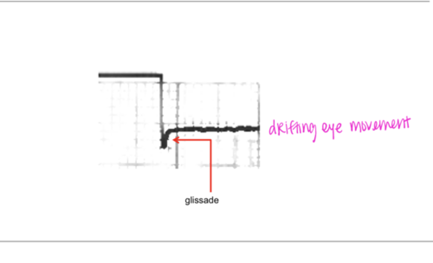 <p>Glissade (Pic)</p>