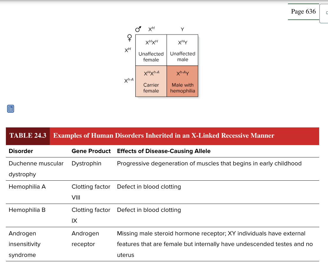 <ul><li><p>duchenne muscular dystrophy</p></li><li><p>hemophilia A</p></li><li><p>hemophilia B</p></li><li><p>androgen insensitivity syndrome</p></li></ul><p></p>