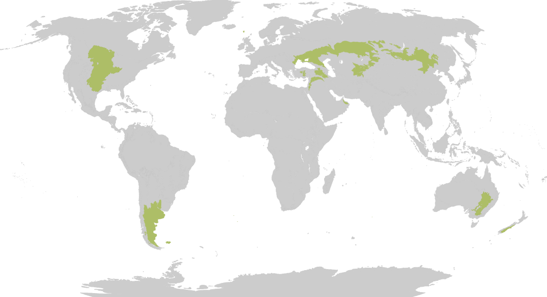 <p>Mid latitudes</p><p>central North America south east South America</p>