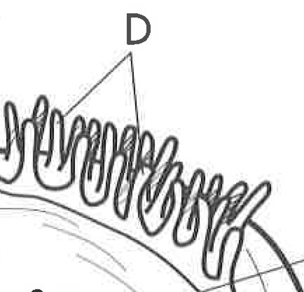 <p>what increases surface area (brush border of small intestines)</p>