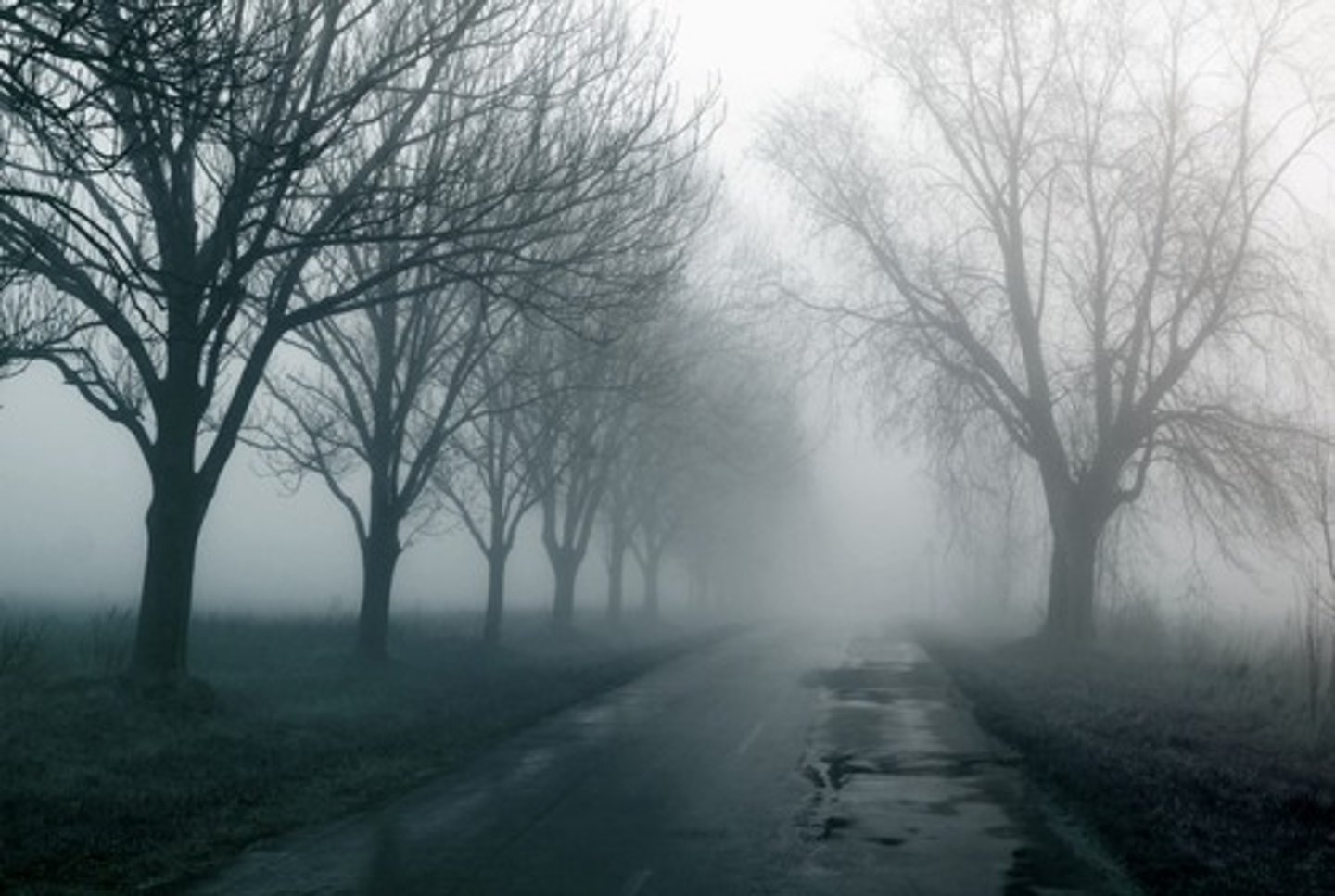 <p>A thin wet fog near the ground</p>