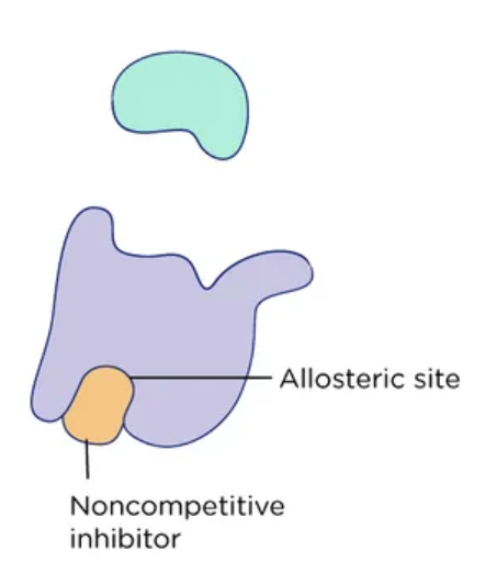 <p>Allosteric site</p>