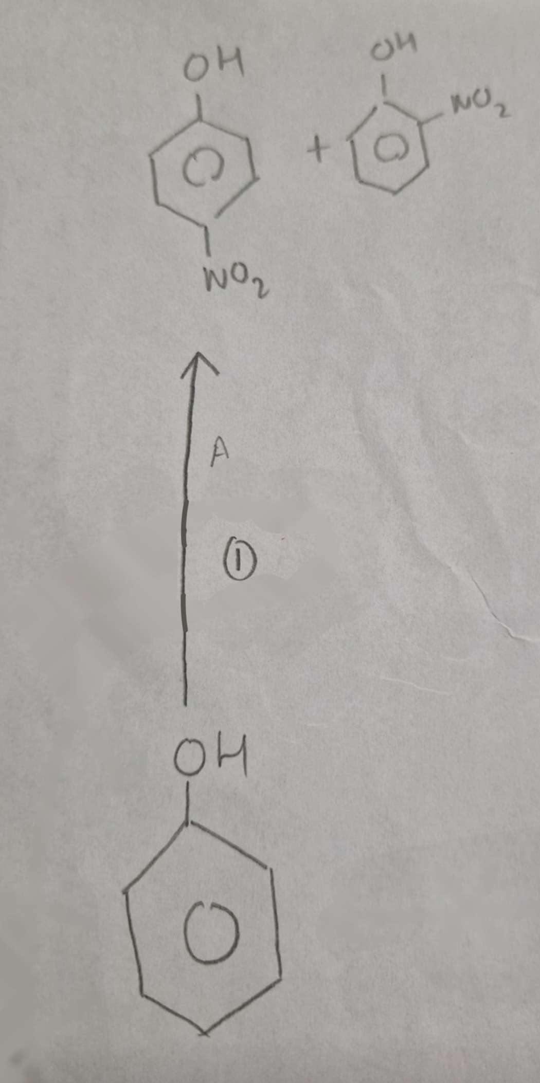 <p>Phenol to Nitrophenols Type of Reaction:</p>