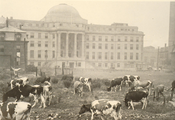 <p>Boston Children’s Hospital</p>