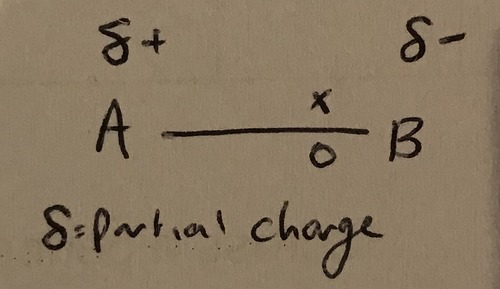 A difference in electronegativity. The electron pair is closer to the more electronegative atom, making it slightly negative
