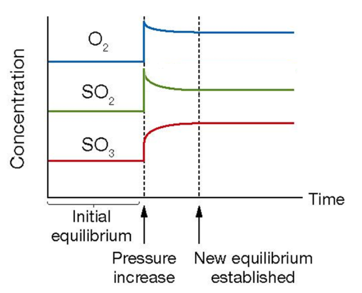 <p>The reaction shifts to the side with <strong>less particles</strong> and <strong>concentrations</strong> <strong>remain higher</strong> at the new equilibrium</p>