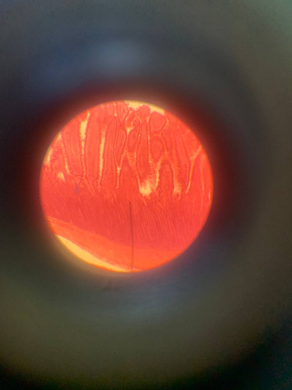 term image