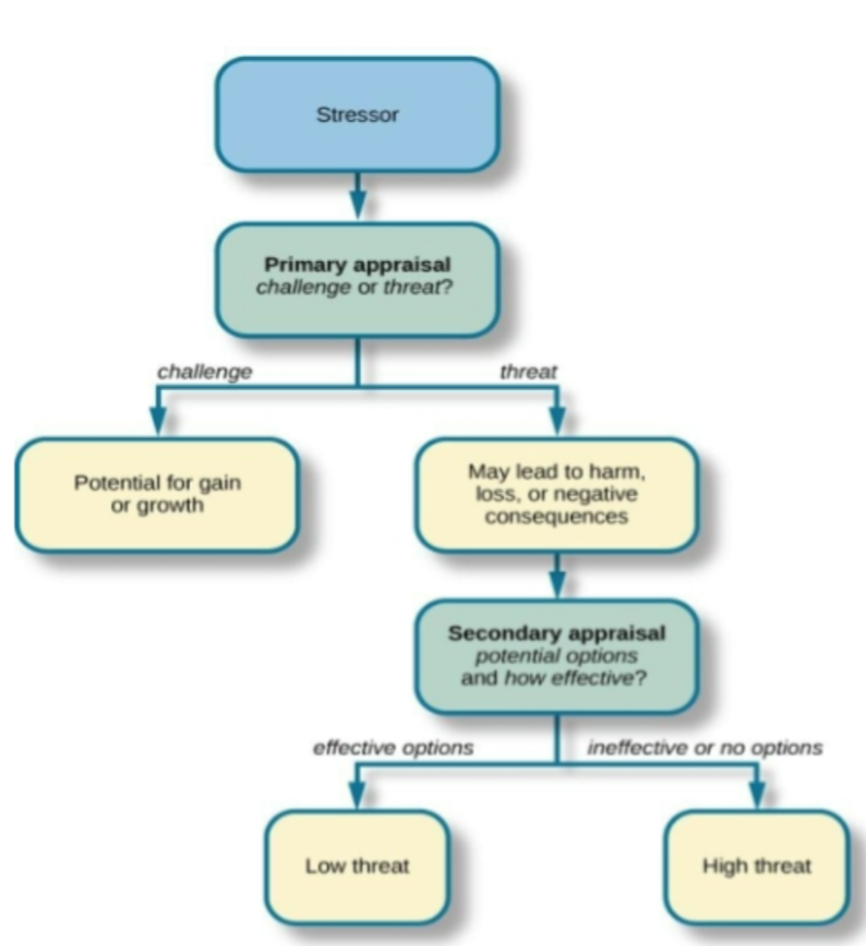 <p><strong>Primary appraisal</strong>:   judgement about the degree of potential threat to well-being that a stressor might entail </p><ul><li><p><strong>Threat</strong>: stressor that could lead to harm/loss/negative consequences</p></li><li><p><strong>Challenge</strong>: stressor that carries the potential for gain/personal growth</p></li></ul><p><strong>Secondary appraisa</strong>l:   judgement of the options available to cope with a stressor, and perceptions of how effective such options will be. </p>