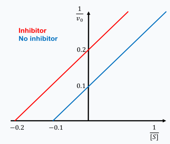 <p><u>For the type of inhibition shown, what does the inhibitor bind to?</u></p><p>A. the enzyme only (E)</p><p>B. the enzyme:substrate complex only (ES)</p><p>C. Both the enzyme (E) and the enzyme:substrate complex (ES)</p><p>D. none of the choices are correct</p>