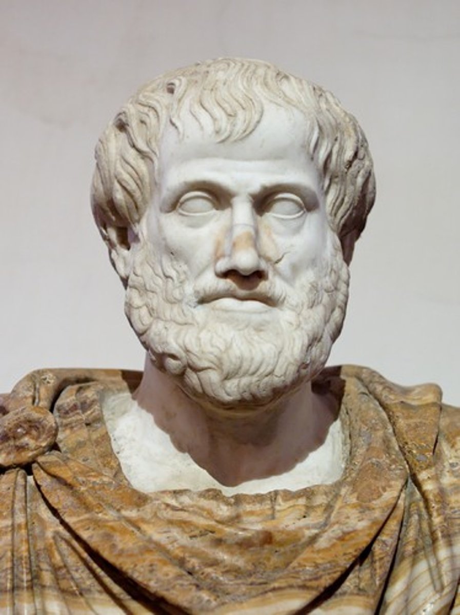 <p>(384-322 BCE) Greek philosopher who wrote about social relationships including arguing that slavery for some people was "by nature" and argued that women were inferior to men as a sort of "inadequacy."</p>