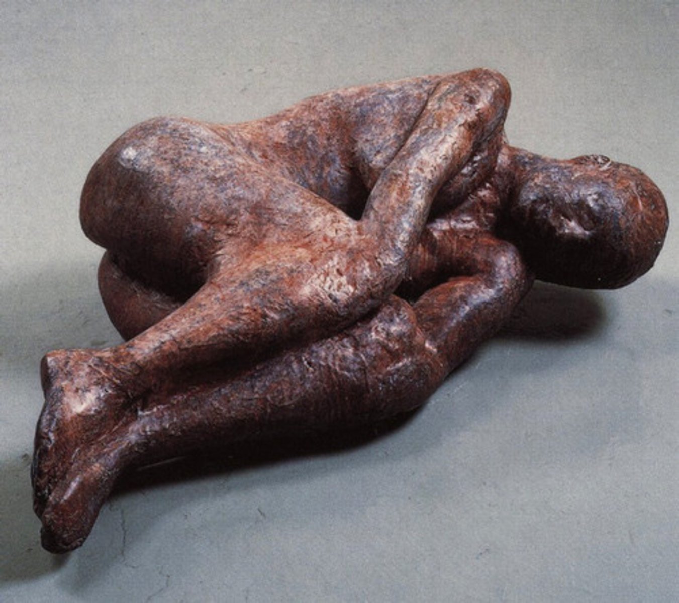 <p>Kiki Smith, Blood Pool</p>