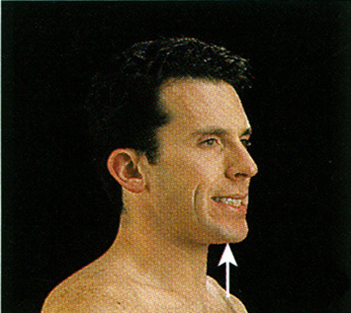 <p>Raising a body part parallel to the body's long axis</p>