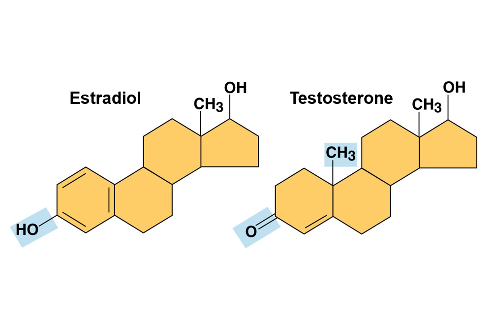 <p>Functional Group</p>