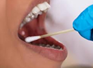 <p><strong>Samples are collected by various methods:</strong></p>