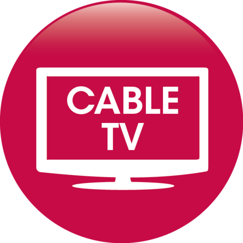 <p>cable television</p>