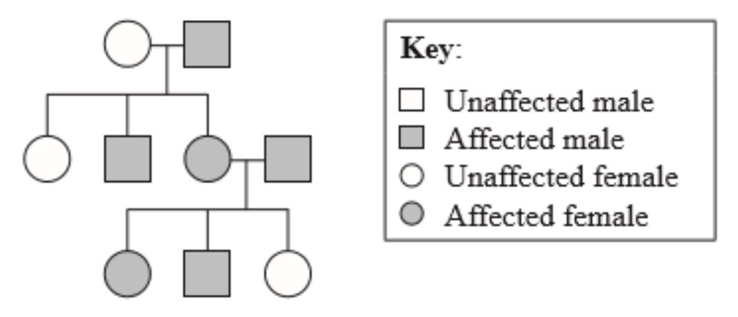 <p>According to the pedigree shown, which pattern of inheritance is indicated?</p>