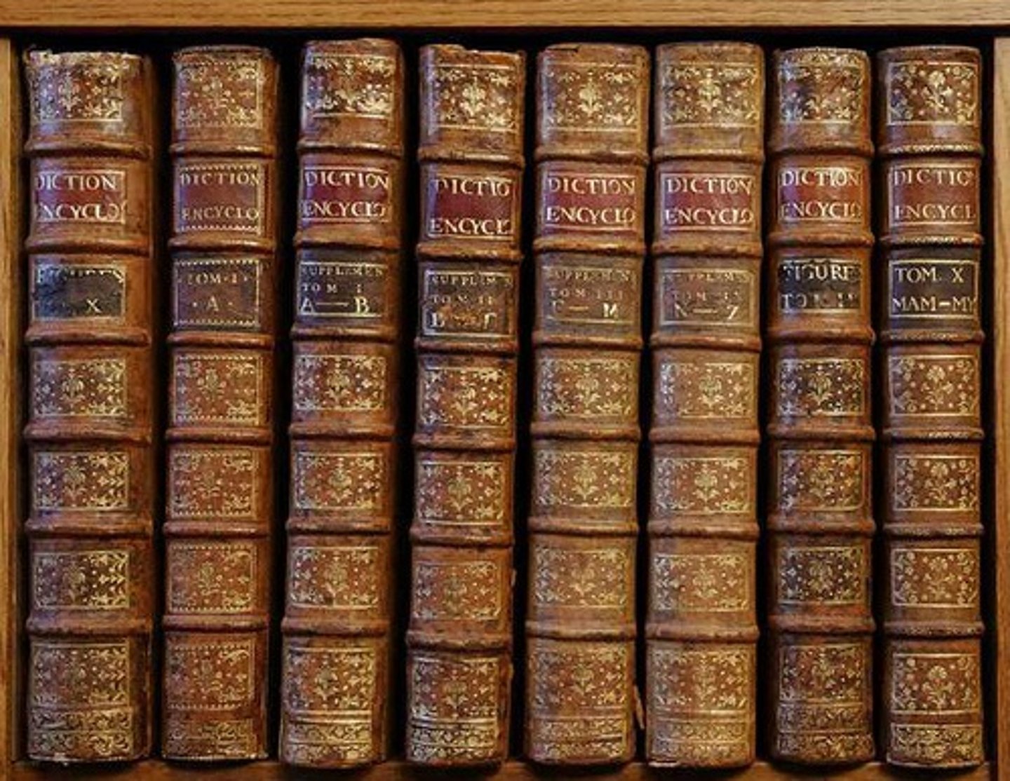 <p>(v) tập hợp, thu thập</p>