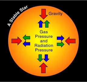 <ul><li><p>depends on the equilibrium of opposing forces</p></li><li><p>forces = gravitational, gas and radiation pressure</p></li><li><p>equilibrium gained through nuclear fusion which keeps the star hot</p></li></ul>