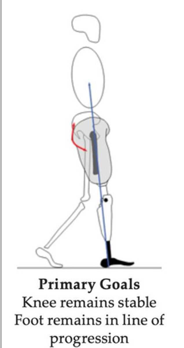 <p>1. knee remains stable</p><p>2. foot remains in line of progression</p>