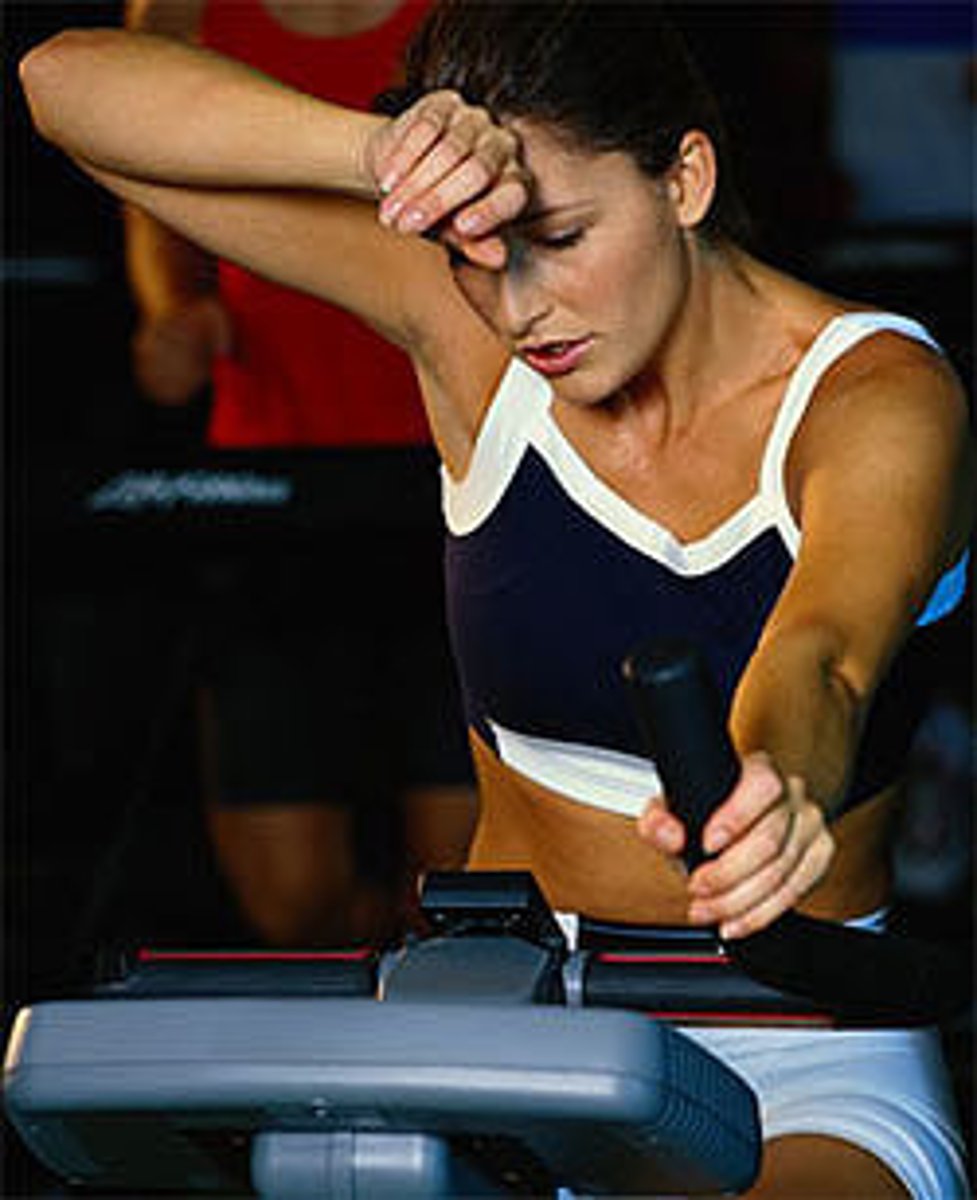 <p>abnormal condition of no sweat</p>