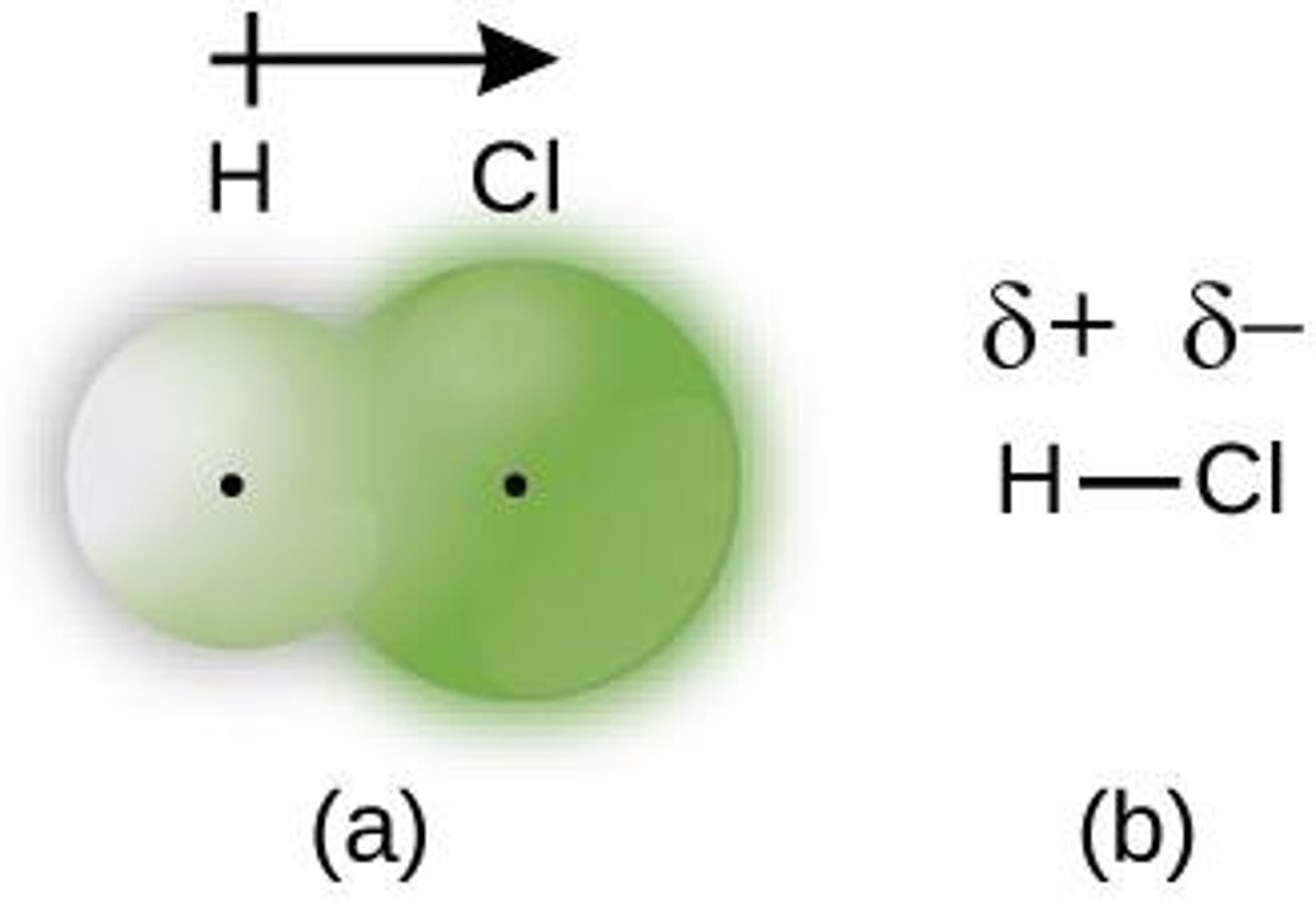 <p>Unequal sharing of electrons between different atoms.</p>