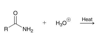 <p>Mechanism</p>