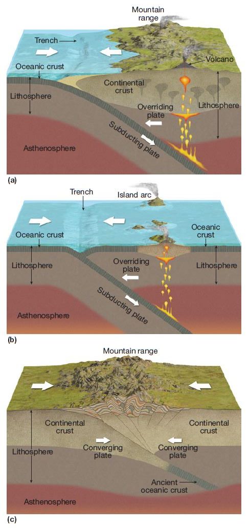 <p>convergent plate boundary</p>