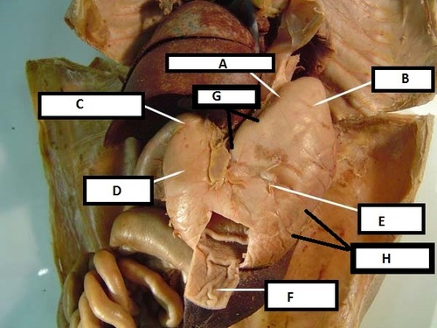 <p>What's D?</p>