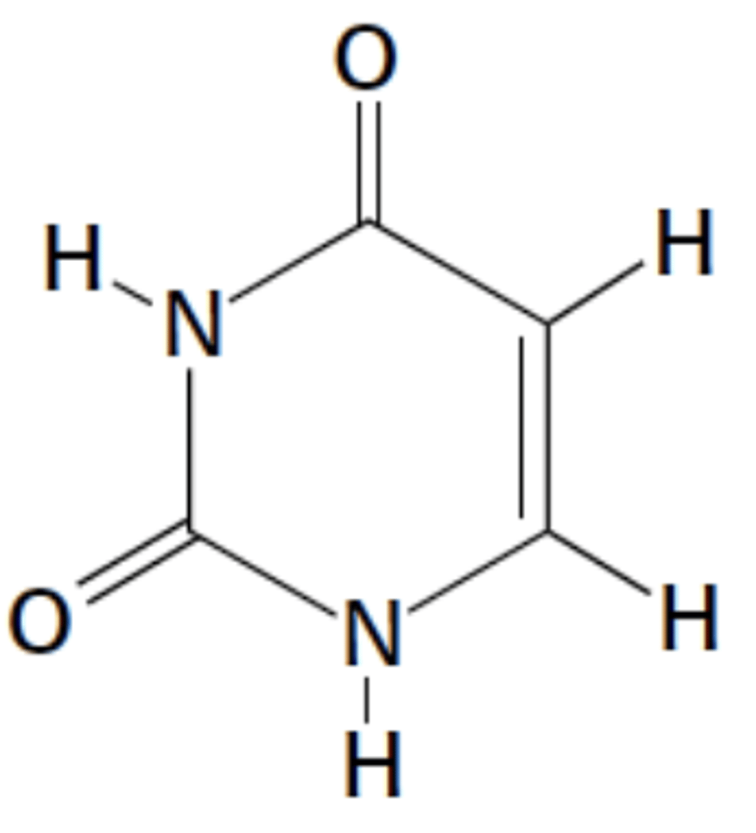 <p>Name this structure</p>