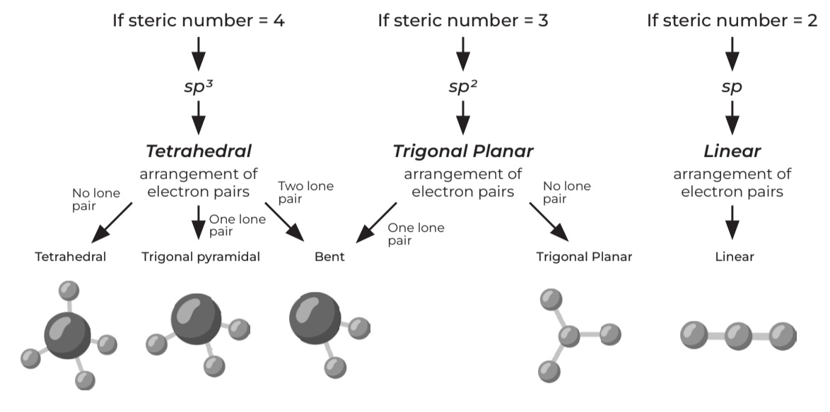 <p>lone pair + sigma bond</p>