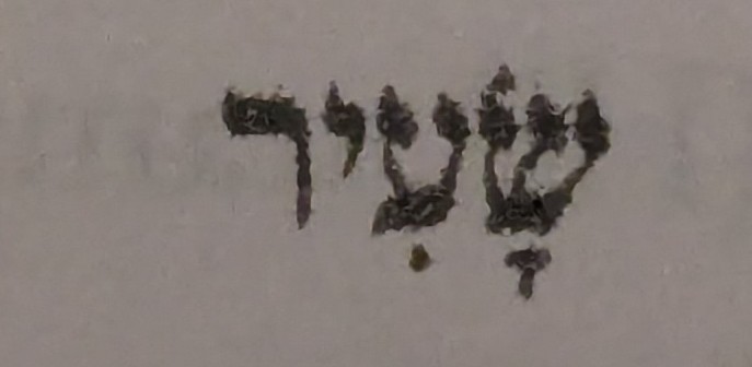 term image