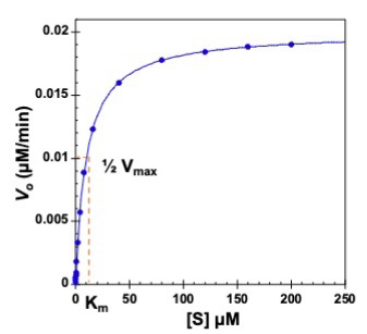 <p>Low S, increases linearly as most E spots are empty; High S, increases until plateau as most E spots are filled</p>