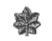 <p>Silver Oak Leaf</p>