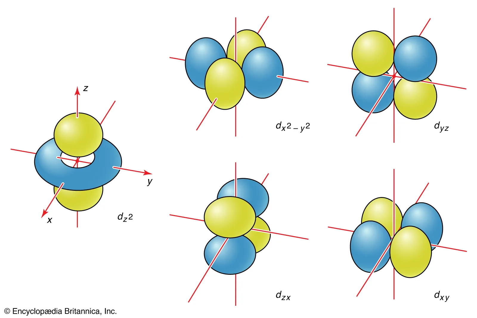 <p>d-orbitals are conventionally labeled d<sub>xy</sub>, d<sub>xz</sub>, d<sub>yz</sub>, d<sub>x<sup>2</sup>-y<sup>2</sup></sub>, and d<sub>z<sup>2</sup></sub>.</p><p></p>