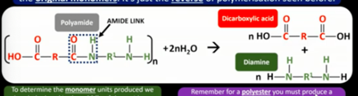 <p>Breaking apart two bonded monomers by adding water</p><p>in the middle then add oh and h to end of the monomers units</p><p>polyester form dicarboxylic acid and diol</p><p>polyamide produce dicarboxylic acid and diamine</p>