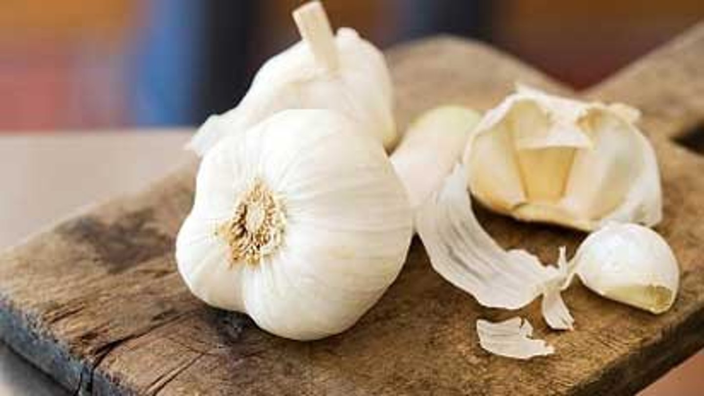 <p>GARLIC</p>