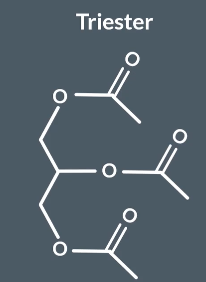 <p>triester </p>