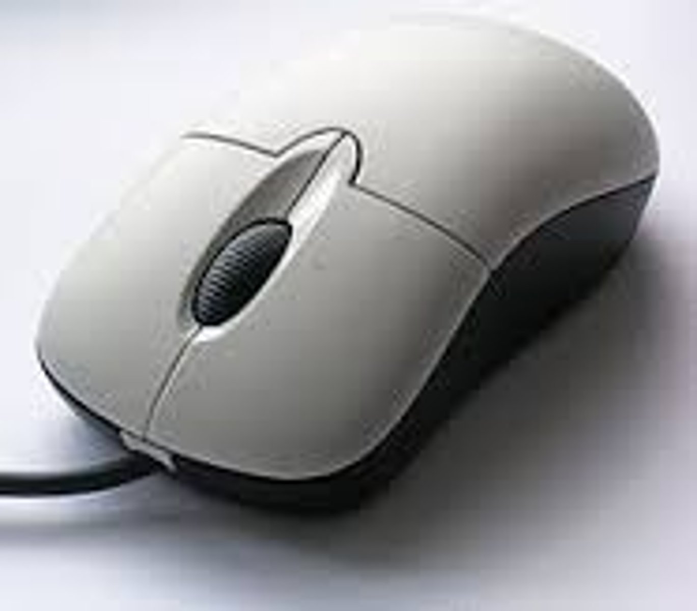 <p>(computer) mouse</p>