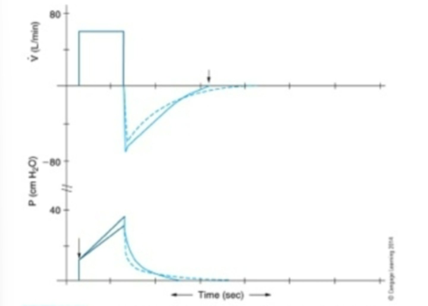 <p>dotted line: normal cstatic</p><p>solic line: decreased cstatic</p>