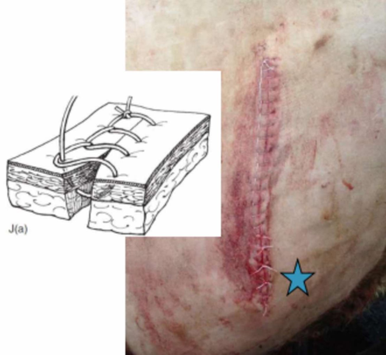 <p>What pattern is this?</p>