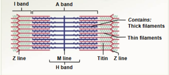 <p>What does this image represent?</p>