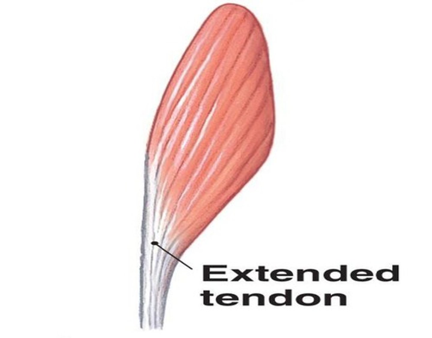 <p>What is this?</p>