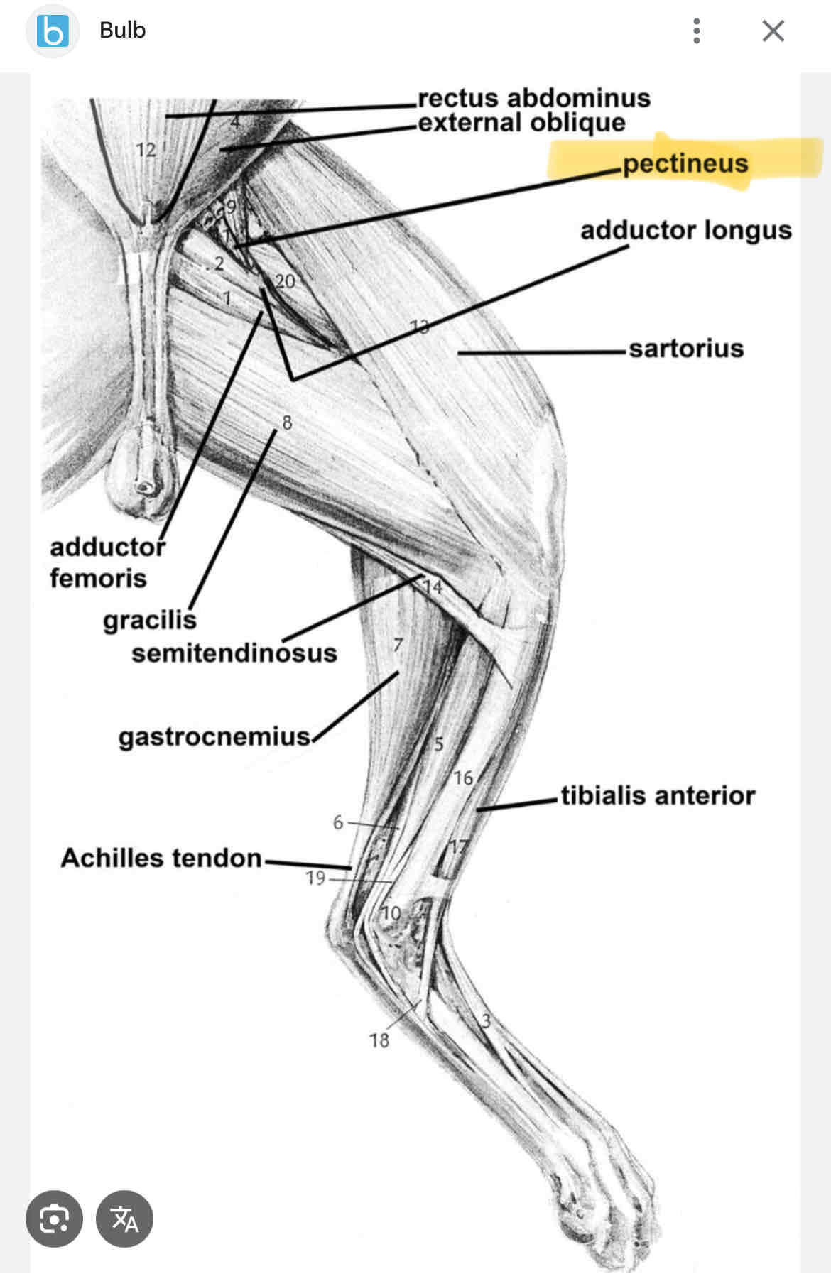 knowt flashcard image
