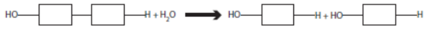 <p>The process of breaking down dimers, trimers, or polymers back into monomers by adding an -H and an -OH group derived from the splitting of a water molecule. Hydrolysis is vital for catabolic processes that release energy stored in macromolecules, and it is performed by specific enzymes</p>