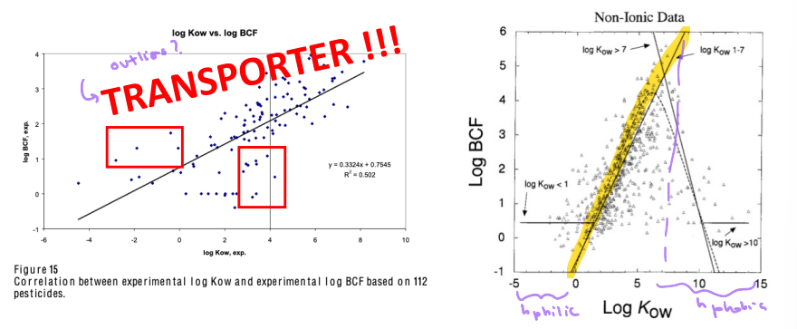 BCF & Kow relationship